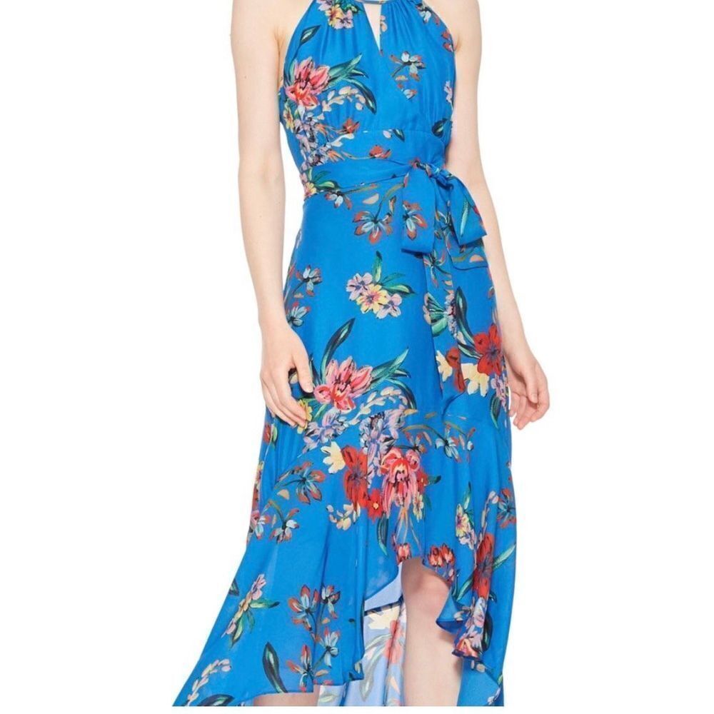 Parker Womens Maxi Hi Low Davina Dress Floral Lined Halter Neck Blue Size 2